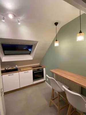 Cuisine ou kitchenette dans l'établissement Appartement hypercentre Colmar