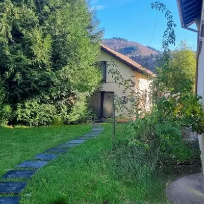 L'Abri des Renards
