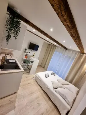 Cuisine ou kitchenette dans l'établissement Suite cosy indépendante Evasion env Colmar