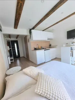 Cuisine ou kitchenette dans l'établissement Suite cosy indépendante Evasion env Colmar