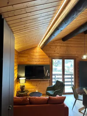 Télévision ou salle de divertissement dans l'établissement Appartement meublé T2 le G de Gérardmer