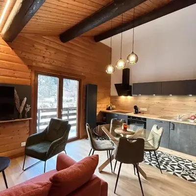 Appartement meublé T2 le G de Gérardmer