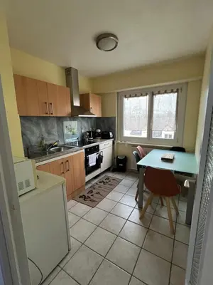 Cuisine ou kitchenette dans l'établissement ALB Appartement