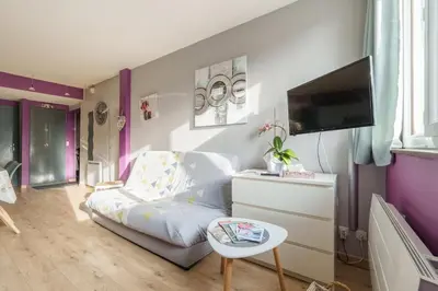 Télévision ou salle de divertissement dans l'établissement Studio Résidence les Oursons - parking privé