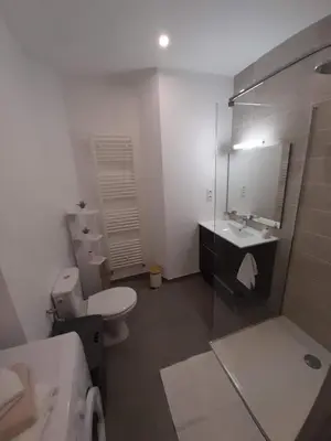 Salle de bains dans l'établissement T2 Spacieux et Confortable