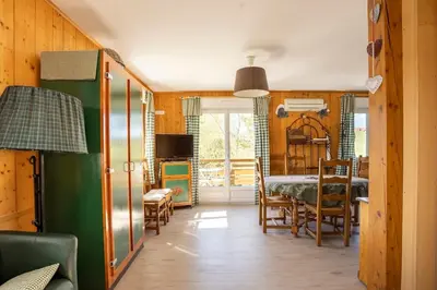 Télévision ou salle de divertissement dans l'établissement AH Large apartment 1 a 7 pers 3 stars WiFi