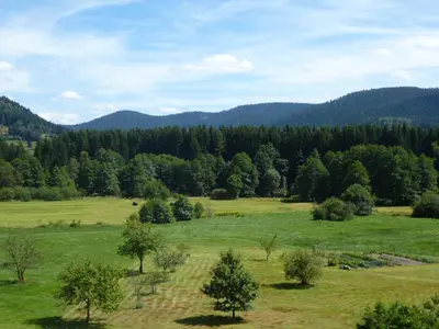 Paysage naturel près de l'appartement