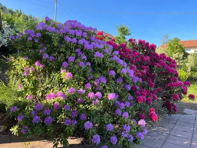 Jardin de l'établissement Aux balcons des xettes