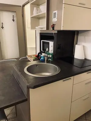 Cuisine ou kitchenette dans l'établissement T1 Sympathique logement a Thann