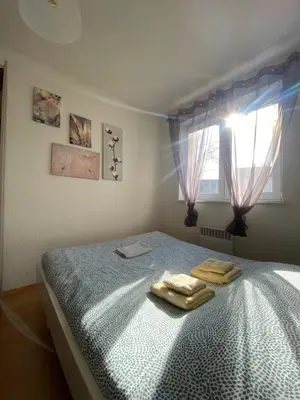 Un ou plusieurs lits dans un hébergement de l'établissement T1 Sympathique logement a Thann