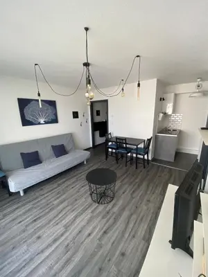 Coin salon dans l'établissement U1 Chaleureux appartement avec balcon à Uffholtz