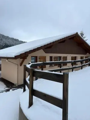 L'établissement Gîte La Bresse 7 personnes en hiver