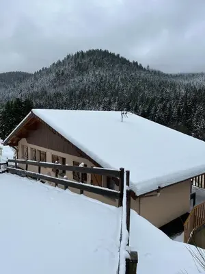 L'établissement Gîte La Bresse 7 personnes en hiver
