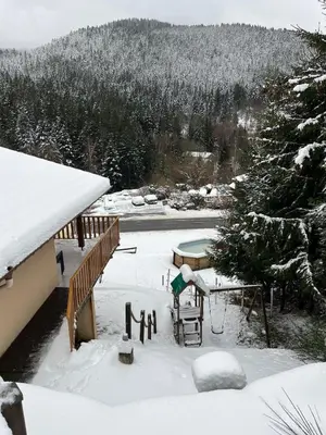 L'établissement Les gites la Bresse 18 personnes en hiver