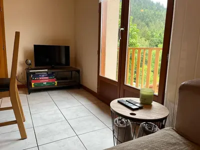 Télévision ou salle de divertissement dans l'établissement Les gites la Bresse 18 personnes