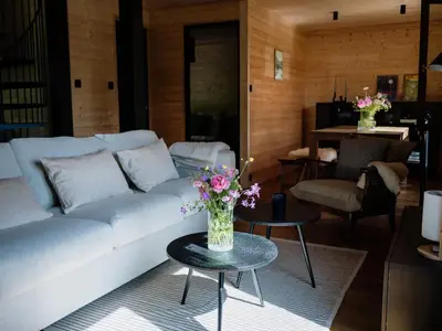 Coin salon dans l'établissement Chalet moderne avec cheminée et animaux bienvenus proche de Gérardmer - FR-1-589-778