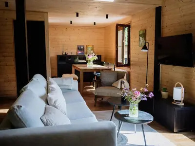 Télévision ou salle de divertissement dans l'établissement Chalet moderne avec cheminée et animaux bienvenus proche de Gérardmer - FR-1-589-778