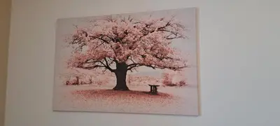 Plan de l'établissement L'Arbre Rose de Bergheim