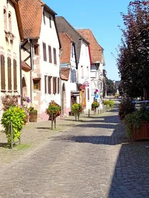 Quartier de l'appartement ou autre quartier proche