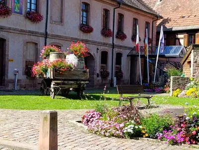 Jardin de l'établissement Le Nid Douillet de Bergheim