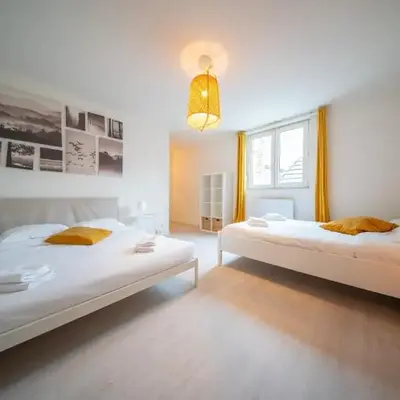Very nice apartment - downtown Mulhouse Le 42