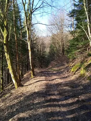 Paysage naturel près de l'appartement