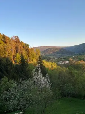 Paysage naturel près de l'appartement