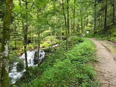 Paysage naturel près de le chalet