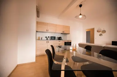Cuisine ou kitchenette dans l'établissement Port 10 Appartement 6 Pers Proche Gare Mulhouse