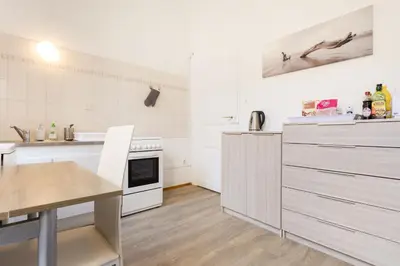 Cuisine ou kitchenette dans l'établissement Apartments Center Colmar