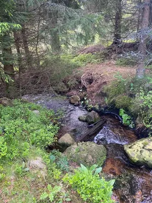 Paysage naturel près de l'appartement
