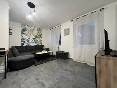Télévision ou salle de divertissement dans l'établissement Spacieux appartement à Belfort