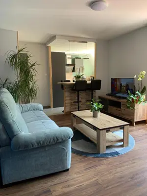 Cuisine ou kitchenette dans l'établissement Chez Mathias 2 bedrooms 2 beds cribs garage