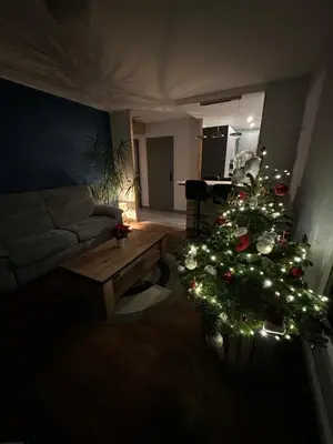 Coin salon dans l'établissement Chez Mathias 2 bedrooms 2 beds cribs garage