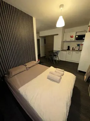 Cuisine ou kitchenette dans l'établissement Appartement Centre ville
