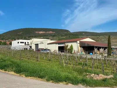 Vue générale sur la montagne ou vue sur la montagne depuis le B&B/chambre d'hôtes