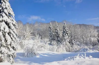 L'établissement CHALET, GITE DE GROUPE - ATC ROUTES DU MONDE à BUSSANG - 32 couchages en hiver