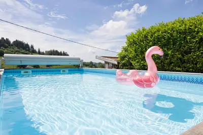 Piscine de l'établissement chalets les biches ou située à proximité