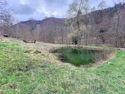 Paysage naturel près de l'appartement