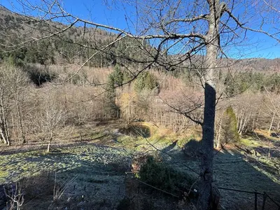 Paysage naturel près de l'appartement