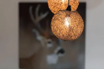 Plan de l'établissement La clairière aux cerfs