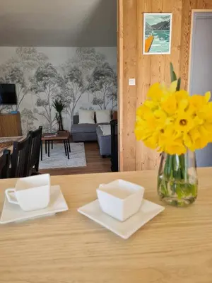Télévision ou salle de divertissement dans l'établissement Maison RoMa, se ressourcer proche de Gerardmer et La Bresse