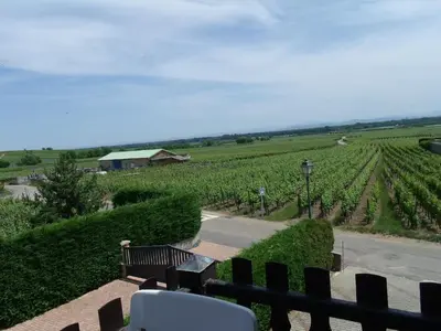Paysage naturel près de l'appartement