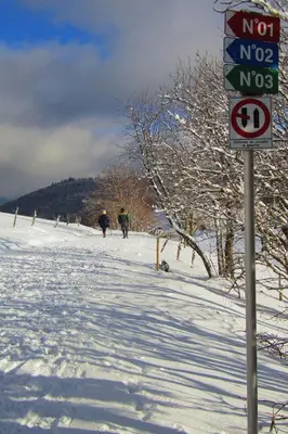 L'établissement Gîte Les Fremi'Zh en hiver