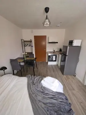 Cuisine ou kitchenette dans l'établissement Studio 