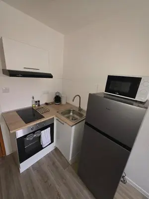 Cuisine ou kitchenette dans l'établissement Studio 