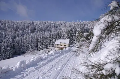 L'établissement Blanche-Roche, gîte en lisière de fôret en hiver