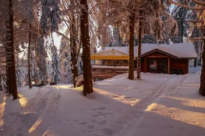L'établissement La Sérotine Chalet GERARDMER en hiver