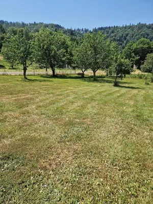 Paysage naturel près de la maison de vacances