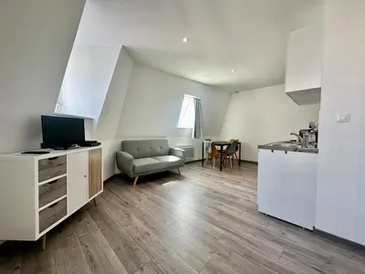 Télévision ou salle de divertissement dans l'établissement #Petit cocon au cœur de Mulhouse